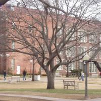 20040304_Photo_1040_Picture 030404 OU 141_CMP_WM